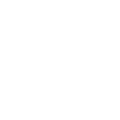 BIDF_logo_meterik_wit.png